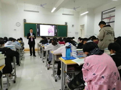信息技術服務學部公開課教研精雕細琢，賦能職業教育咨詢新高度——記蒙城縣職業教育中心教研活動