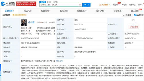 吉利科技重慶公司注銷始末 成立不足一年，新能源原動設備銷售業務何去何從？